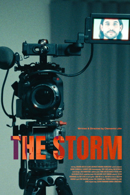 The Storm poster