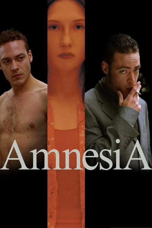 AmnesiA poster