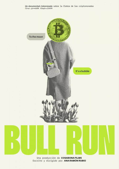 Bull Run poster