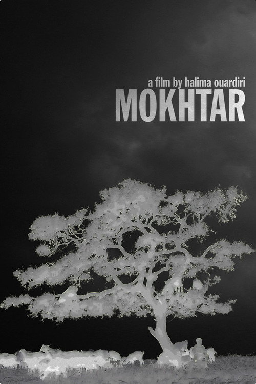 Mokhtar poster