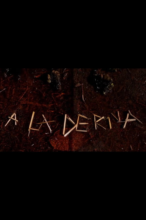 A La Deriva poster