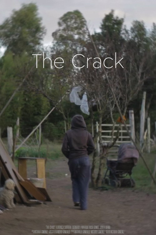 The Crack poster