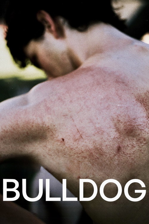 Bulldog poster