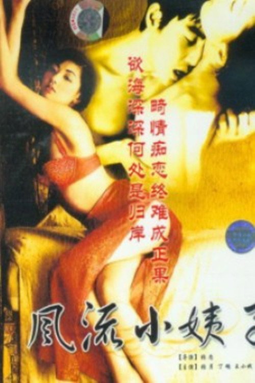 风情小姨子 poster
