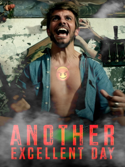 Another Excellent Day poster