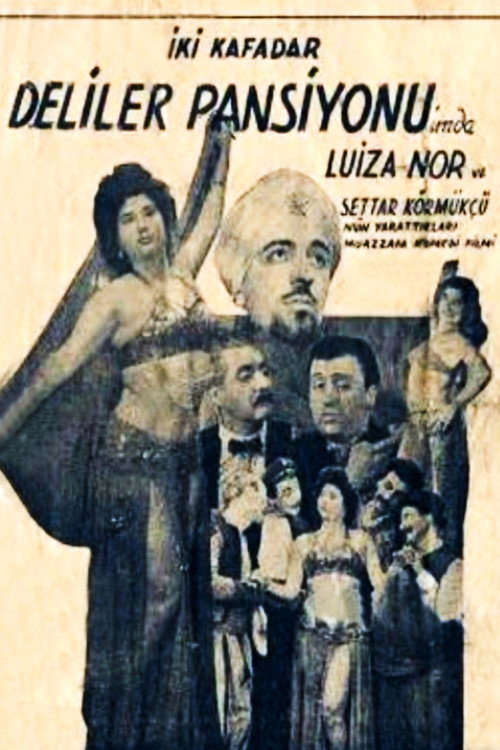 İki Kafadar Deliler Pansiyonunda poster
