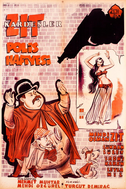 Zıt Kardeşler Polis Hafiyesi poster