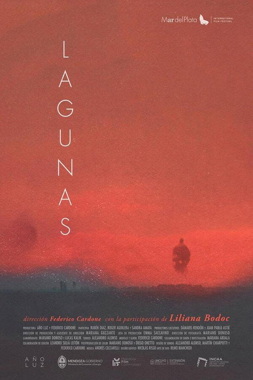 Lagunas poster