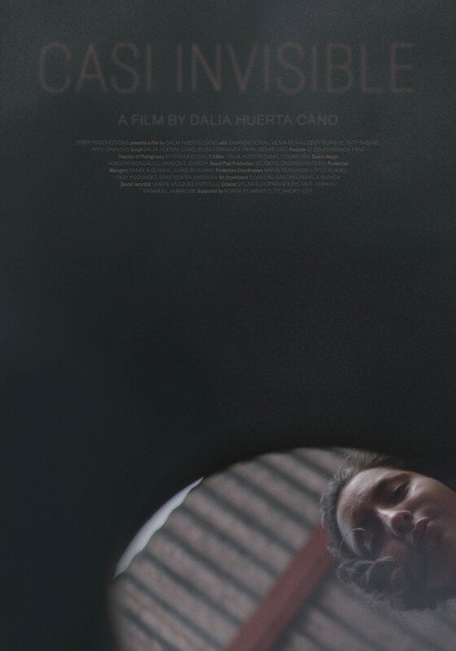 Casi invisible poster