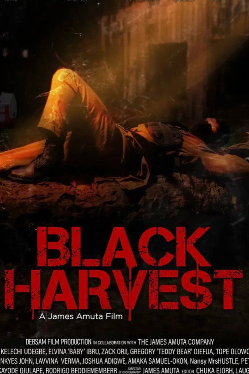 Black Harvest poster