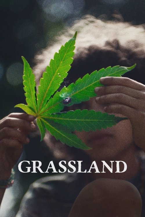 Grassland poster
