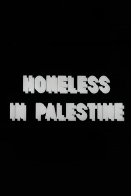 Homeless in Palestine poster