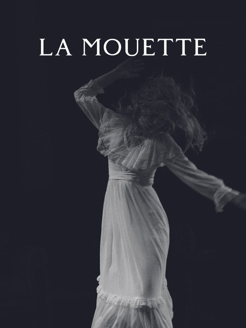 The Seagull poster