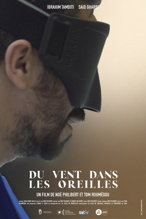 Du vent dans les oreilles poster