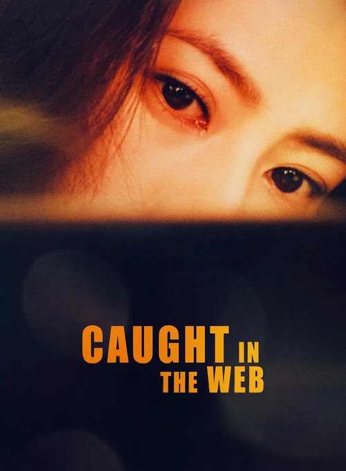 Caught in the Web poster