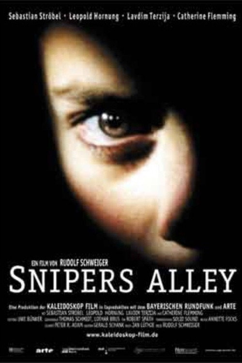 Snipers Alley poster