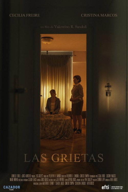 The Cracks poster