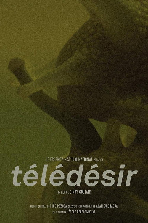 Télédésir poster