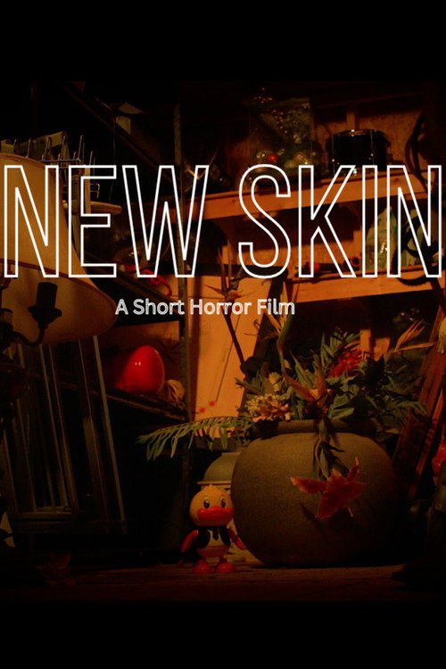 New Skin poster