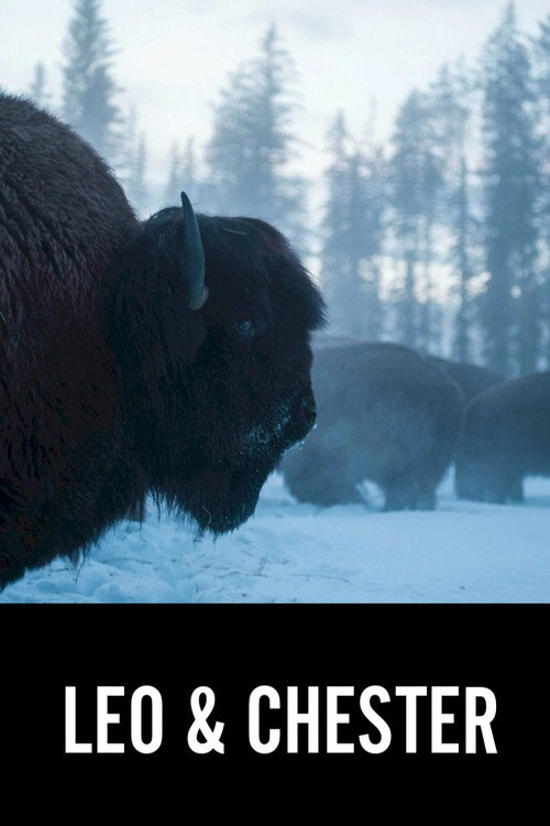 Leo & Chester poster