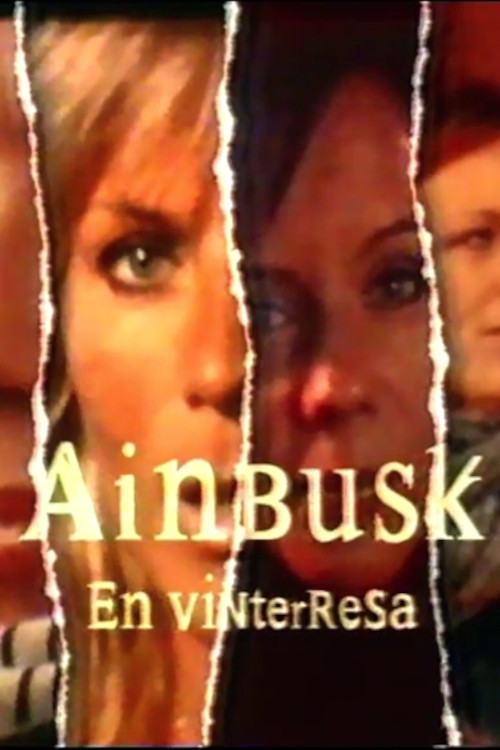 Ainbusk - en vinterresa poster