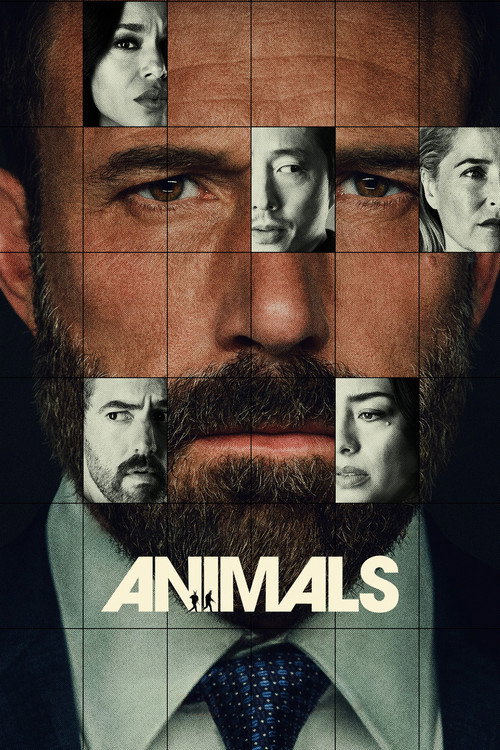 Animals poster