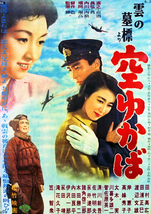 Flying in the Air poster