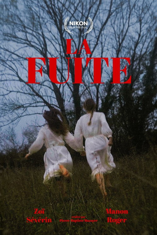 La Fuite poster