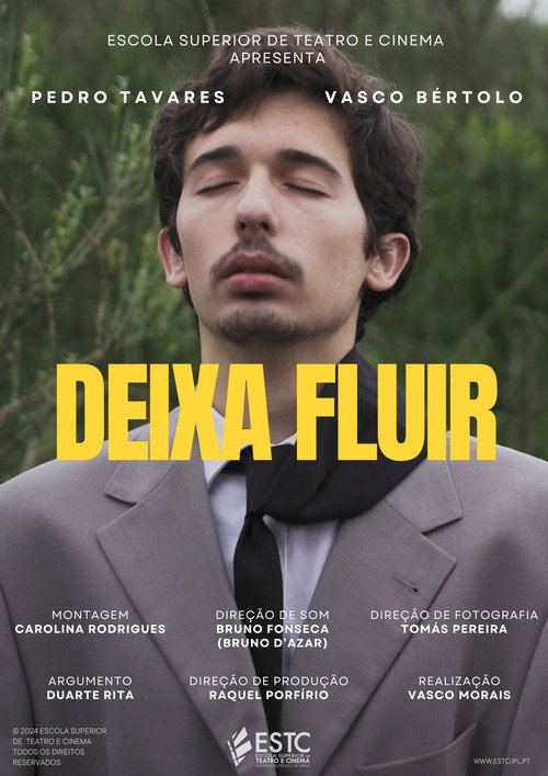 Deixa Fluir poster