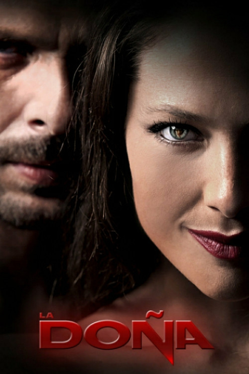 The Lady poster