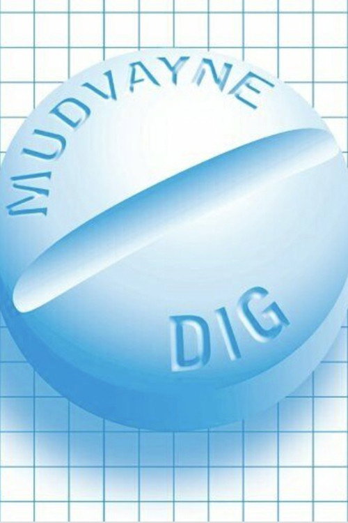 Mudvayne: Dig poster