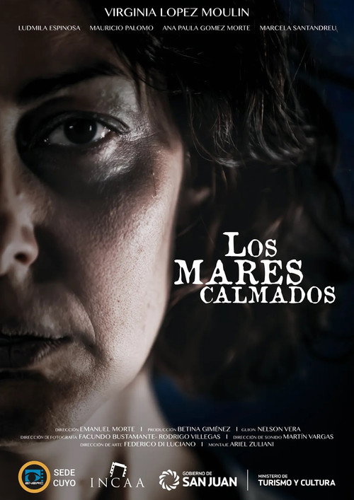 The Calm Sea poster