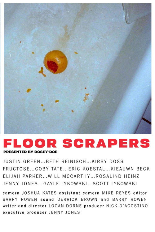 Floor Scrapers poster