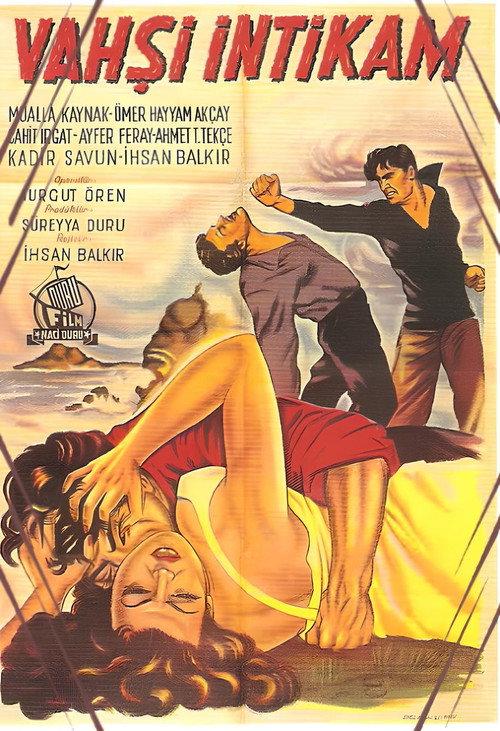 Vahşi İntikam poster