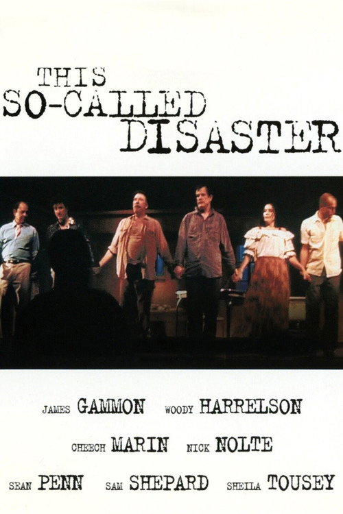This So-Called Disaster poster