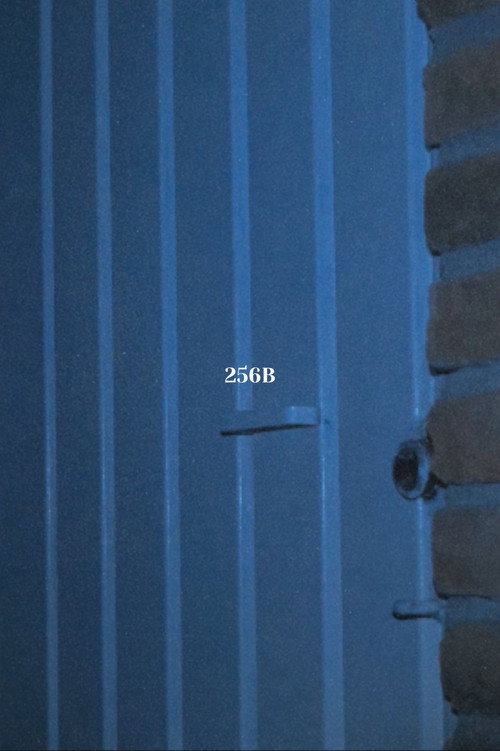 256B poster
