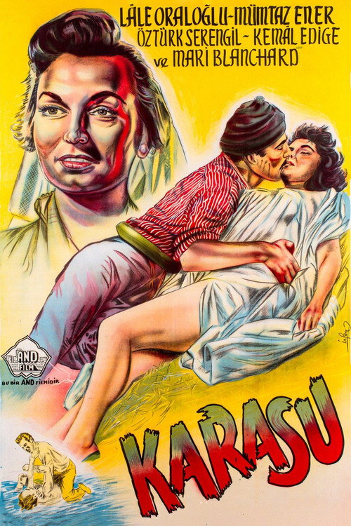 Karasu poster
