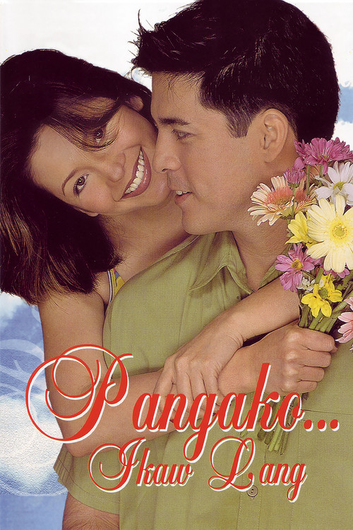 Promise... It's Only You poster
