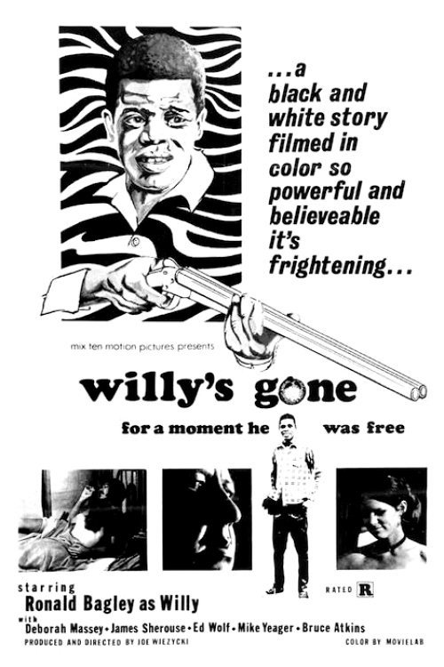 Willy's Gone poster