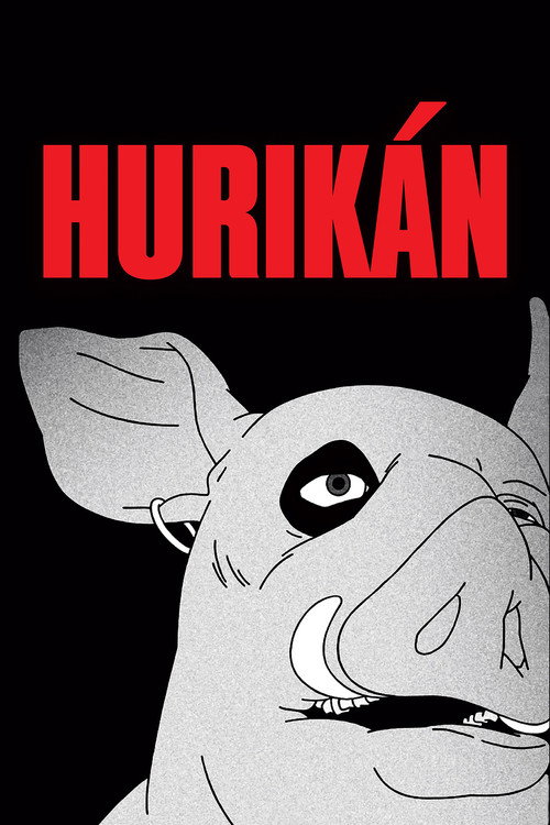 Hurikán poster