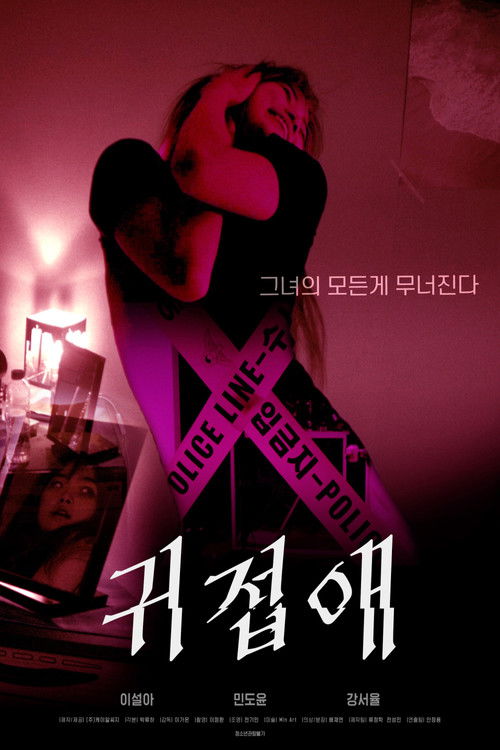 Love in Illusion poster