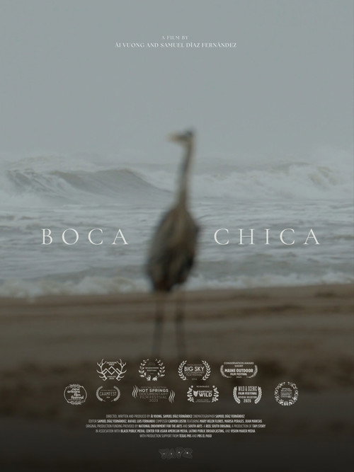 Boca Chica poster