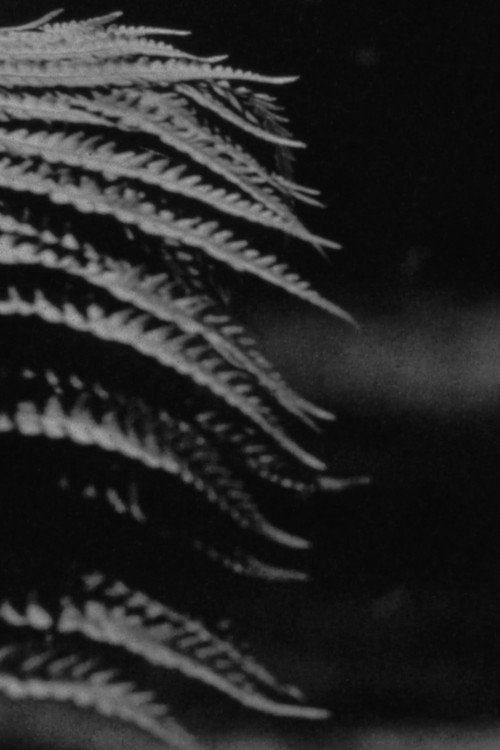emergence poster