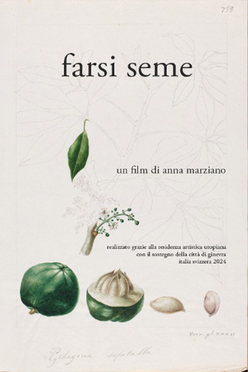 Farsi seme poster
