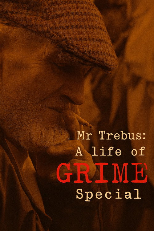 Mr Trebus: A Life of Grime poster