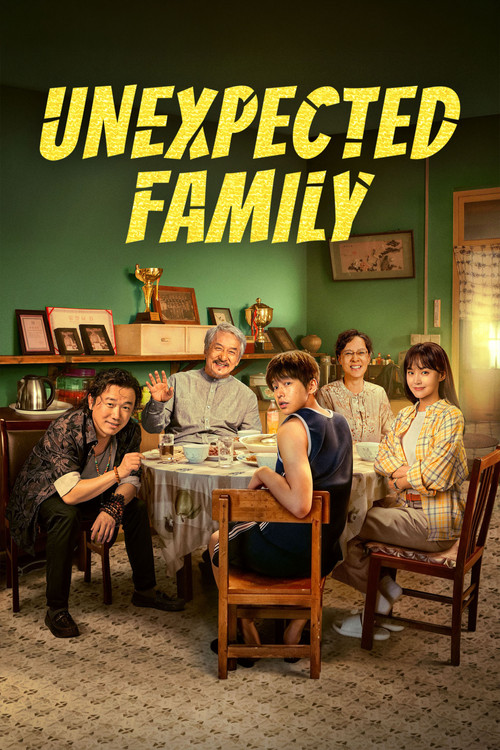Unexpected Family poster