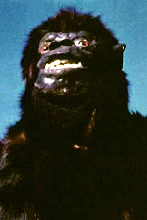 Savage Jungle poster