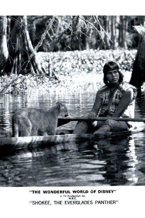 Shokee, the Everglades Panther poster