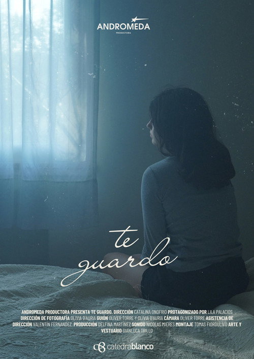 Te Guardo poster
