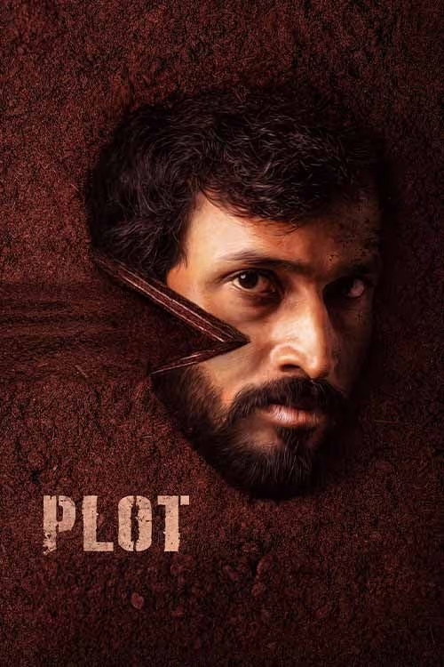 Plot poster